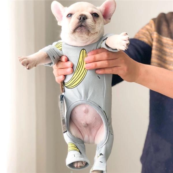 犬服 ペット服 おしゃれ バナナ柄 カバーオール 小型犬 中型犬 ピンク ブルー フレブル フレンチブルドッグ服 パグ服 チワワ服 Buyee Buyee Japanese Proxy Service Buy From Japan Bot Online