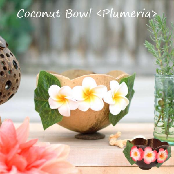 lazymagnolia_10220-810