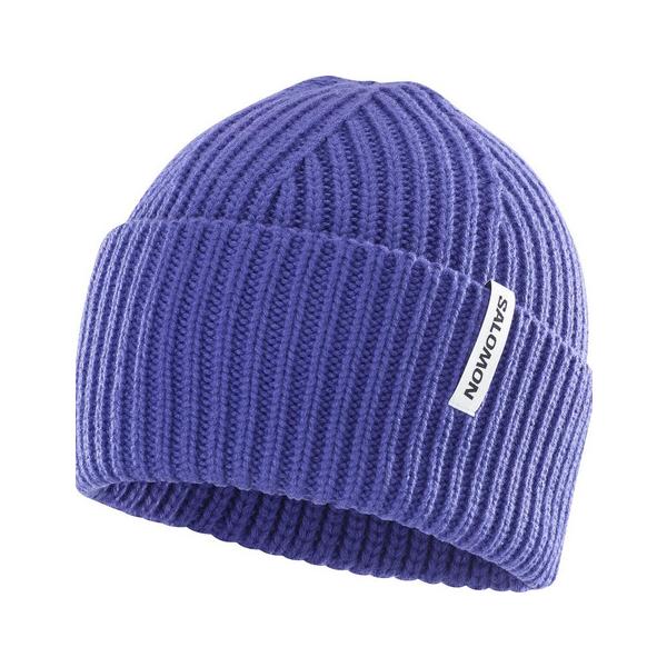 サロモン（SALOMON）（メンズ、レディース）ニット帽 トレッキング 登山 SNOWBIRD ビーニー LC2629800