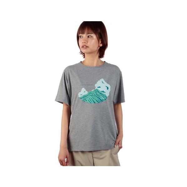 Foxfire（フォックスファイヤー） （レディース）半袖Tシャツ C