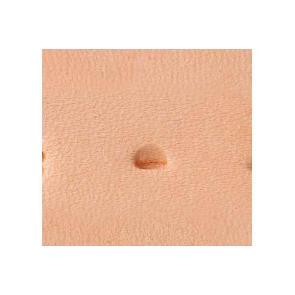 WWXeX F044 3.8mmy[֑Ήz [Ntg]  U[Ntg