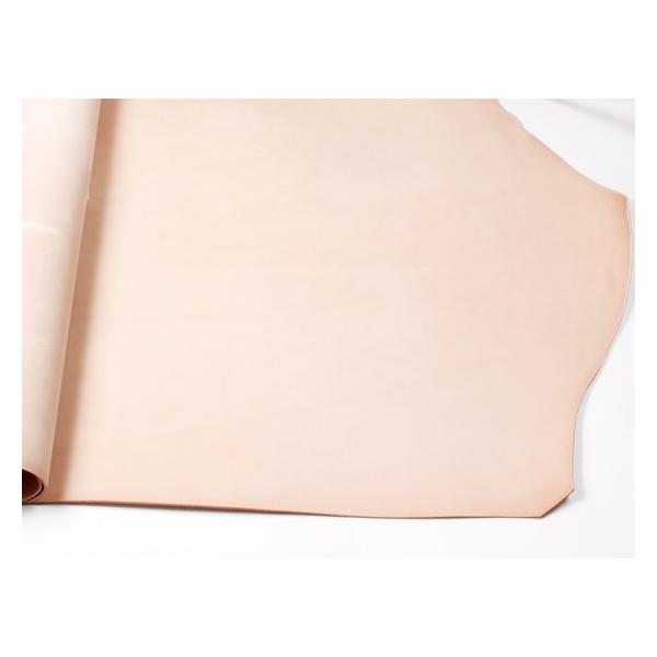 Ȗؖ{k n 220fV 3.0mmO fVP152~iōj فyz [Ntg] [iϓi]  U[Ntg 1