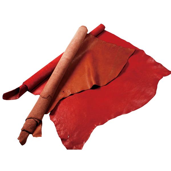 }gD[ L/// 240fV 1.8mmO fVP116~iōj فyz [Ntg] [iϓi]  U[N