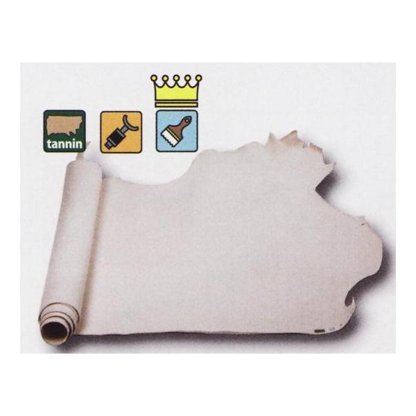 v^[ i` 240fV 2.6mmO fVP170~iōj فyz [Ntg] [iϓi]  U[Ntg