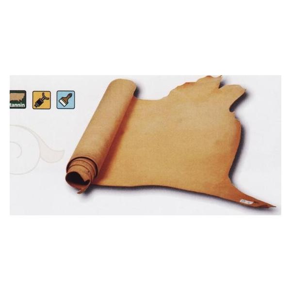 eB[S2 i` 220fV 3.0mmO fVP162~iōj فyz [Ntg] [iϓi]  U[Ntg