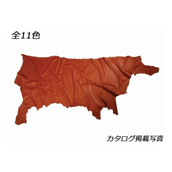 FEHbVu S11F 230fV 1.0mmO fVP132~iōj فyz [Ntg] [iϓi]  U[Nt