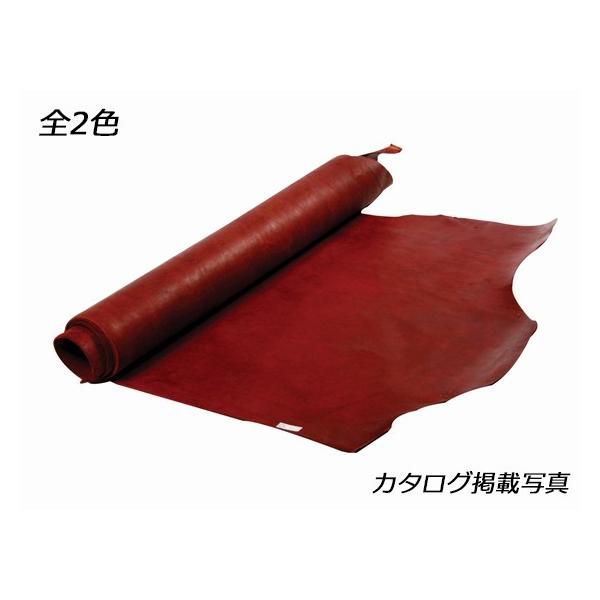 eB[S /Ԓ 230fV 4.0mmO fVP258~iōj فyz [Ntg] [iϓi]  U[Ntg