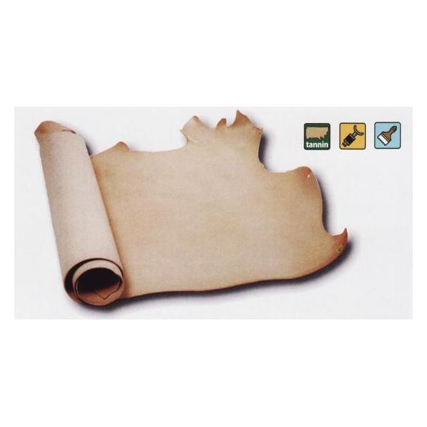 {₵ i` 220fV 3.8mmO fVP166~iōj فyz [Ntg] [iϓi]  U[Ntg