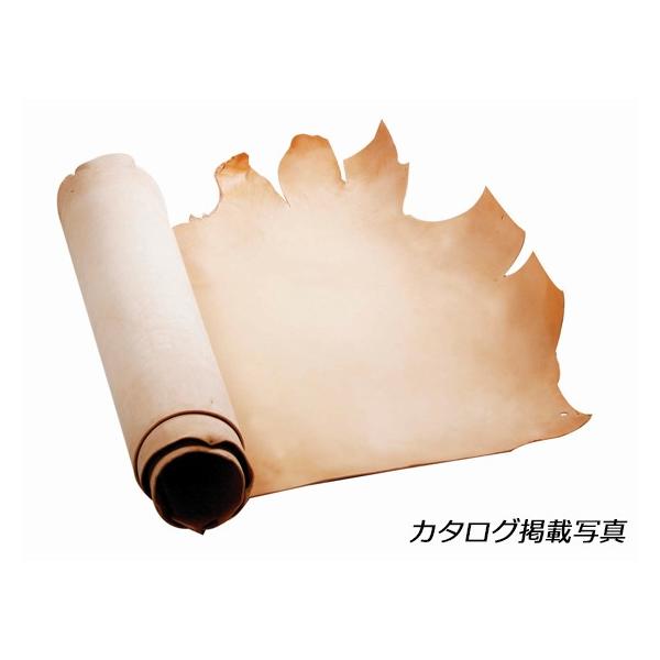 sT[m i` 240fV 1.8mmO fVP162~iōj فyz [Ntg] [iϓi]  U[Ntg