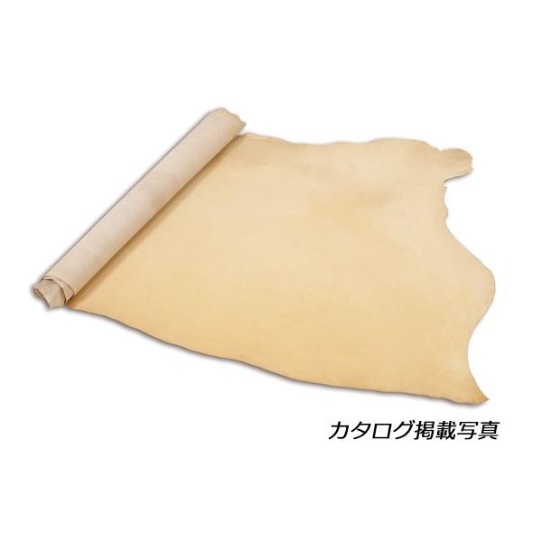 \tgkivj i` 250fV 1.6mmO fVP93~iōj فyz [iG] [iϓi]  U[Ntg