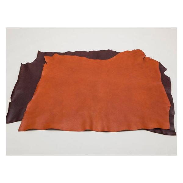 A]i S13F 130fV 1.7mmO fVP203~iōj V_[yz [iG] [iϓi]  U[Ntg