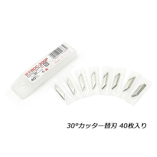 30°Jb^[֐n 40y[֑Ήz [iG]  U[NtgH iCt