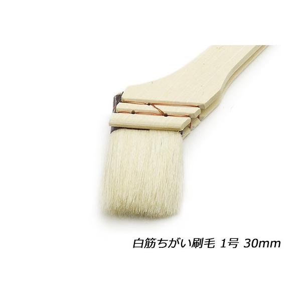 刷毛 31uZpHQ3tVL.jpg_BO30,255,255,