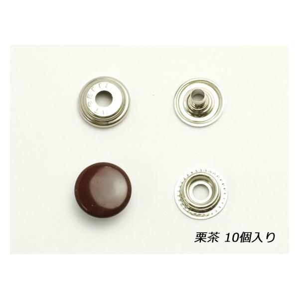 Wp[zbN  I 10y[֑Ήz [ς]  U[Ntg Wp[zbN