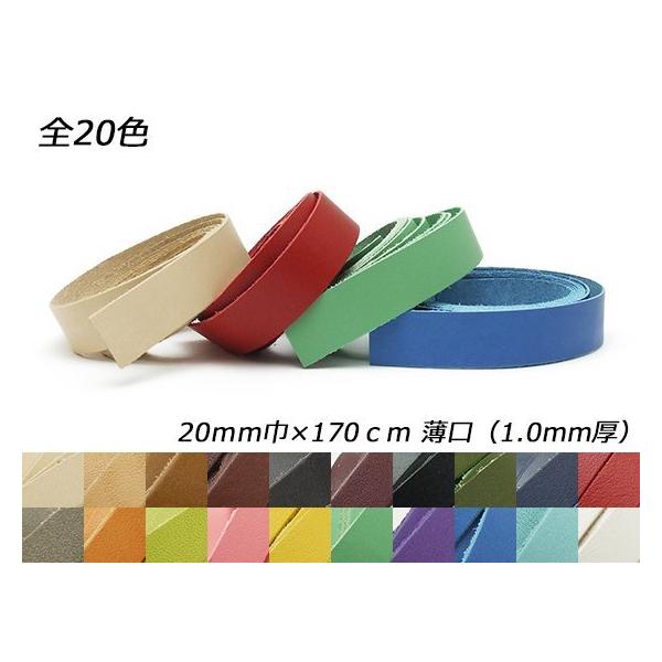 hGA[X  S20F 20mm×170cm 1.0mm 1{y[֑Ήz [ς]  U[NtgvЂ [X 20mm