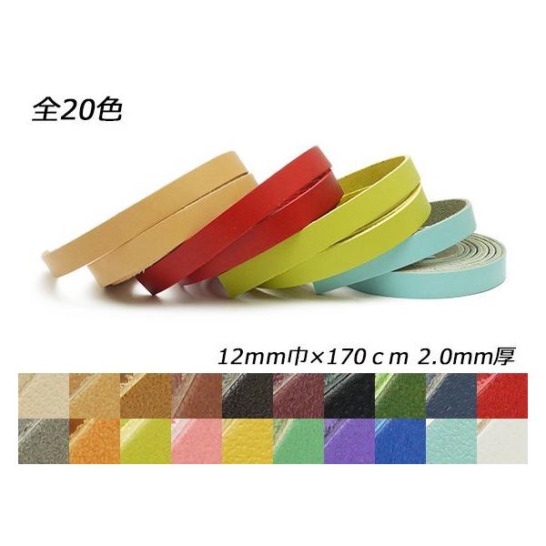 hGA[X S20F 12mm×170cm 2.0mm 1{y[֑Ήz [ς]  U[NtgvЂ [X 12mm