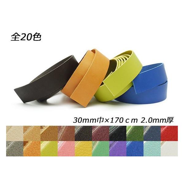 hGA[X S20F 30mm×170cm 2.0mm 1{[U[Ntgς]  U[NtgvЂ [X 30mm