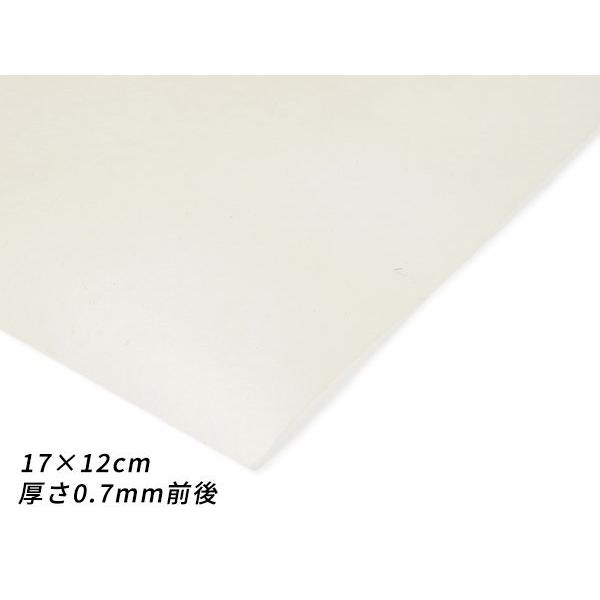 y؂vz\tg  17×12cm 0.7mmO 1y[֑Ήz [U[Ntgς]  U[Ntg؂viJbgU[j