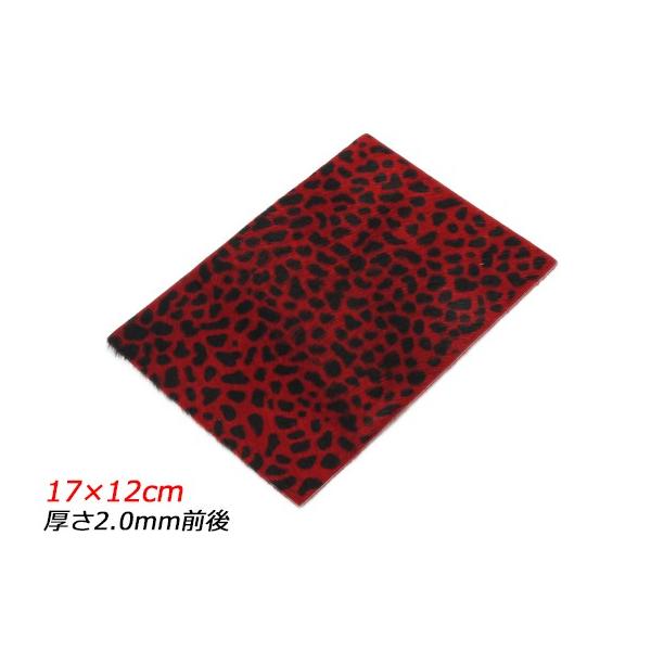 y؂vzAj}t@[ `[^[  17×12cm 2.0mmO 1y[֑Ήz [ς]  U[Ntg؂viJbgU[j