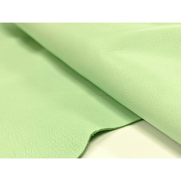 X[X pXe^[RCY 60fViiŒj 0.8mmO Sفyz [U[Ntgς]  U[Ntg 1v