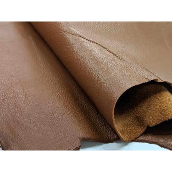 X[X uE 70fViiŒj 0.6mmO Sفyz [ς]  U[Ntg 1v