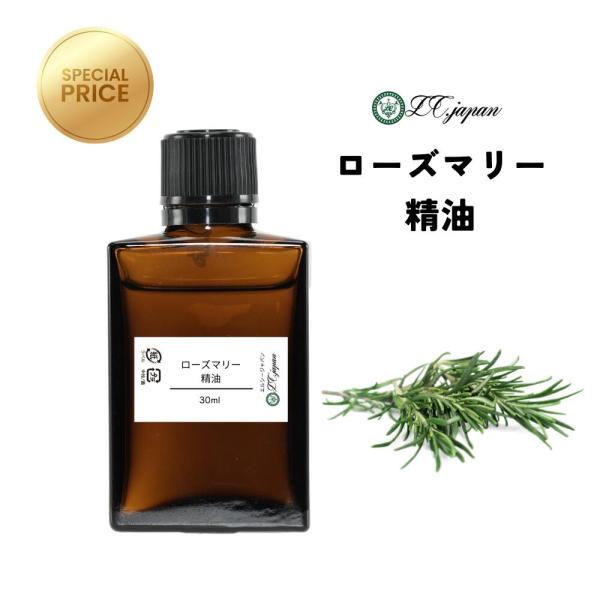 ローズマリー カンファー 精油 30ml 送料無料 【特価精油】 エッセンシャルオイル アロマオイル ローズマリーカンファー 爆買