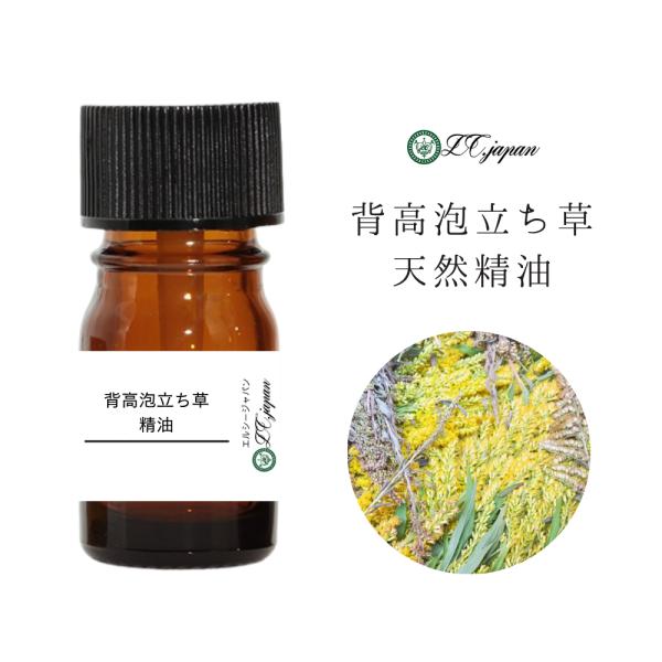 【天然ハーブ】背高泡立草　セイタカアワダチソウ1kg 個包装80個前後　大容量 和精油 セイタカアワダチソウ 5ml 背高泡立草 穂花300本分 精油 食品