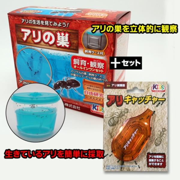 アリの巣観察キット アリキャッチャー付き アリ 飼育 キット アリの巣 観察 夏休みの宿題 夏休み 自由研究 蟻飼育セット :BF-BFF-420-set:アイデアグッズのララフェスタ 通販 ニチドウ アリ捕獲器 アリキャッチャー