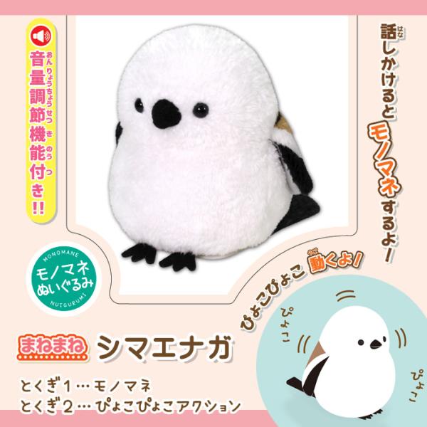 le-cure_bf-ost-001-shima_1_d_20241121133619