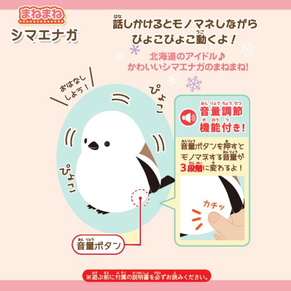 le-cure_bf-ost-001-shima_2_d_20241121133626