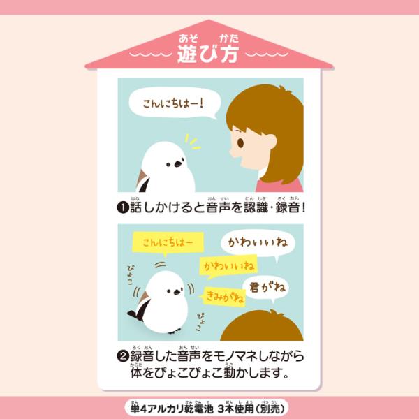 le-cure_bf-ost-001-shima_3_d_20241121133633