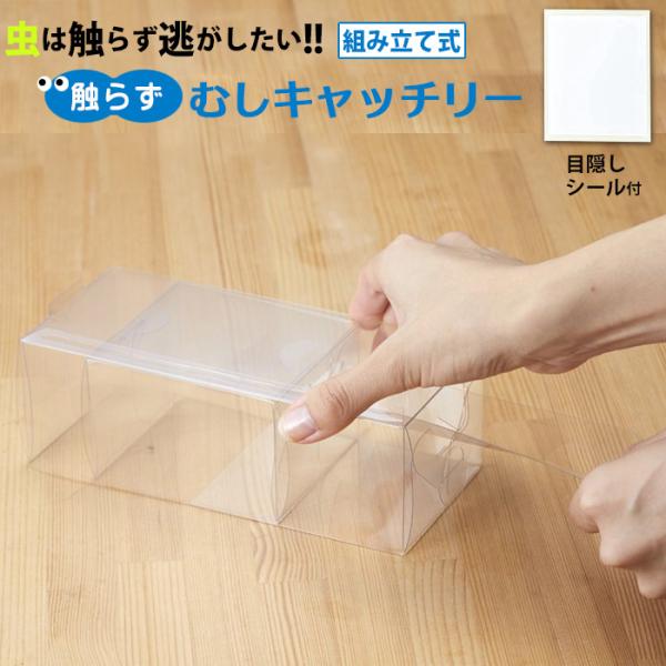 触らず むしキャッチリー AMC-100 「ポスト投函送料無料」/ 捕虫 害虫 キャッチ リリース 捕獲 駆除 逃がす 昆虫 観察 スライド 環境 日本製