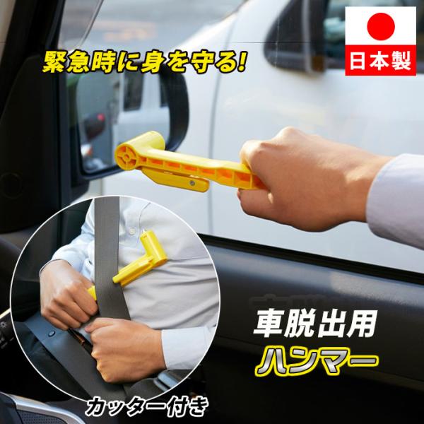 le-cure_bf-sk-050