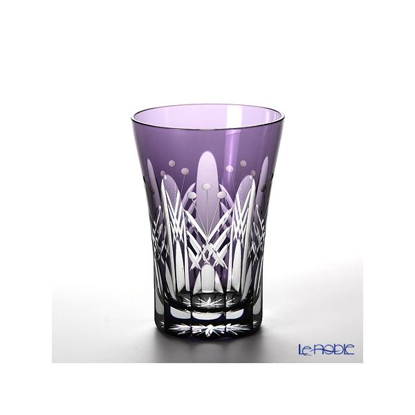 cɎq ]ː؎q fʖ ^u[ p[v TG05-15-1V hV̓