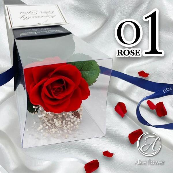 スタッフコメント: 実用的 40代 50代 60代 70代 2025通販 2025年 新品 新作 入荷中 ギフト プレゼント ギフト にも!枯れない、長く楽しめるプリザーブドフラワー。プリザーブドフラワーのやさしい雰囲気を大切にしています。...