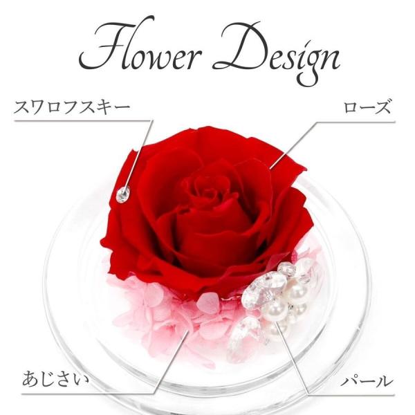 ギフト プレゼント カーネーション プリザーブドフラワー ガラスドーム ガラスケース バラ 枯れない 誕生日 女性 彼女 お祝い 刻印 名入れ Buyee Buyee Japanese Proxy Service Buy From Japan Bot Online