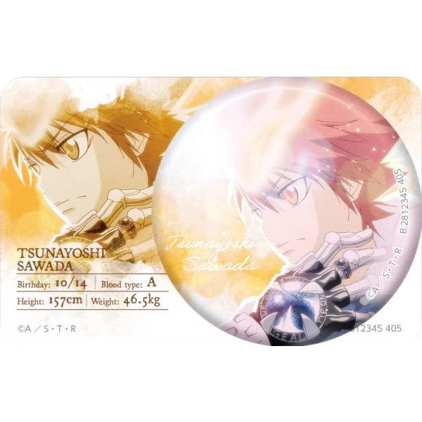 沢田綱吉 彩光缶バッジ 家庭教師ヒットマンREBORN! 沢田綱吉】 彩光キラキラカンバッジコレクション 家庭教師ヒットマン