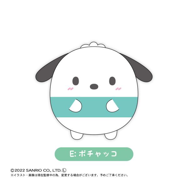 完売品 スリーズ　サンリオ キャラクターズ　ポチャッコ サンリオキャラクターズチョコレート マルチクリアケース S