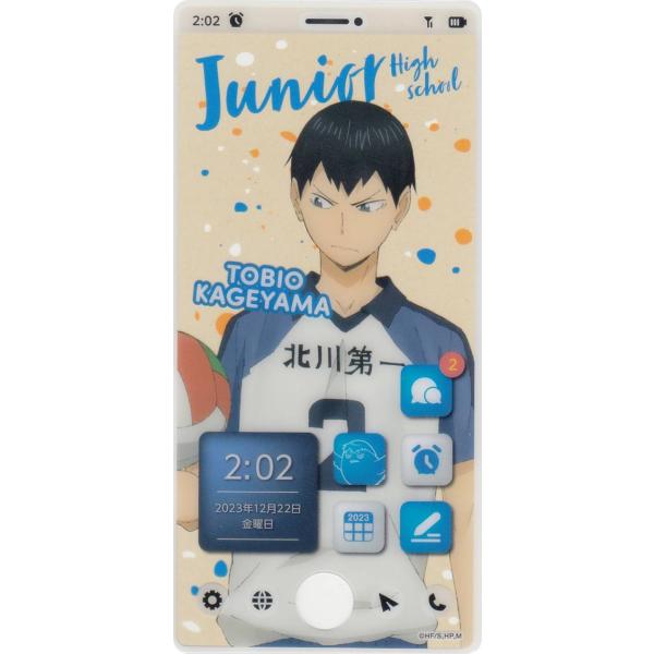 影山飛雄 (思い出/シークレット) 】 ハイキュー!! スマホライクカード