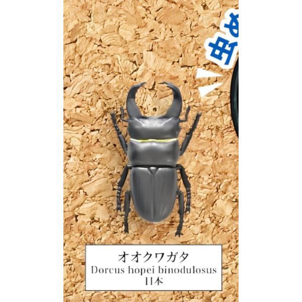 lead-netstore_022407s128zmt05