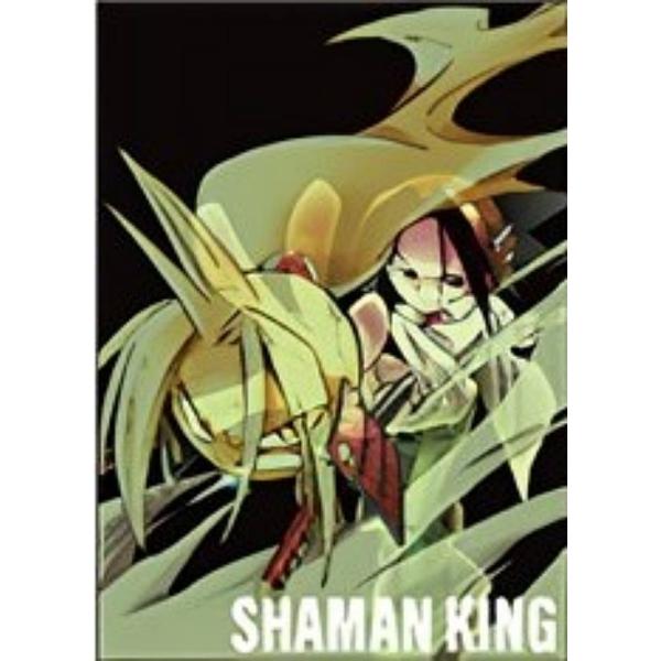 葉　シャーマンキングカードまとめ売りセット シャーマンキング カード 3枚セット 朝倉葉 エリザ 木刀の竜 超