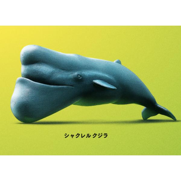 シャクレルクジラ】パンダの穴 SHAKUREL PLANET 2 : トレカショップ