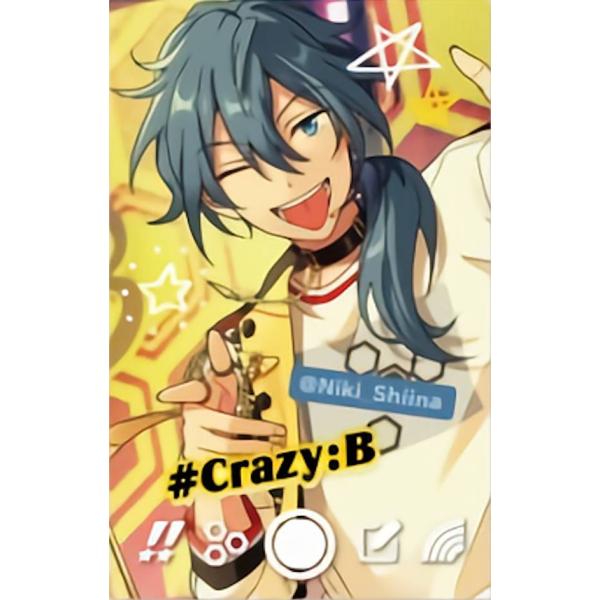 あんさんぶるスターズ 椎名ニキ まとめ売り ぱしゃっつ ホロチケ アクブロ あんさんぶるスターズ 椎名ニキ P.A.shots!! Vol.1 Private | K-B