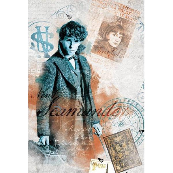 13.ニュート・スキャマンダー C】ファンタスティック・ビースト