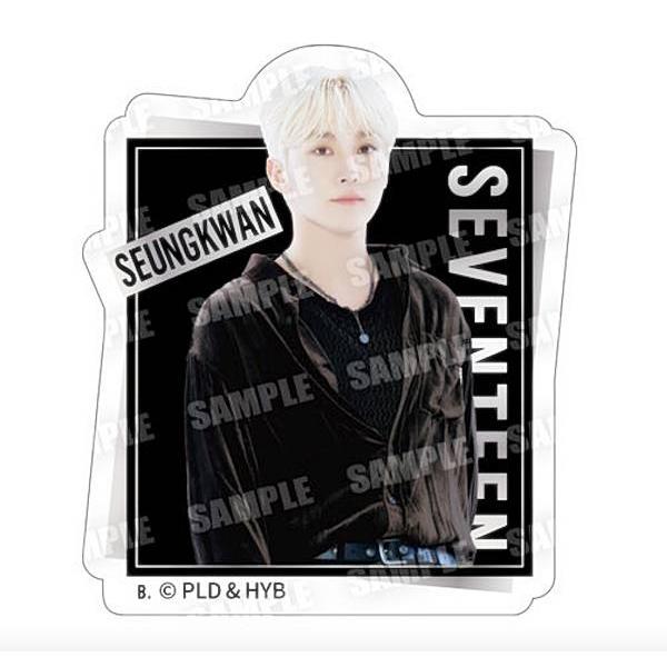 【[箔押し] スングァン/SEUNGKWAN】 SVT GUMMI2 From PLEDIS ENTERTAINMENT SEVENTEEN