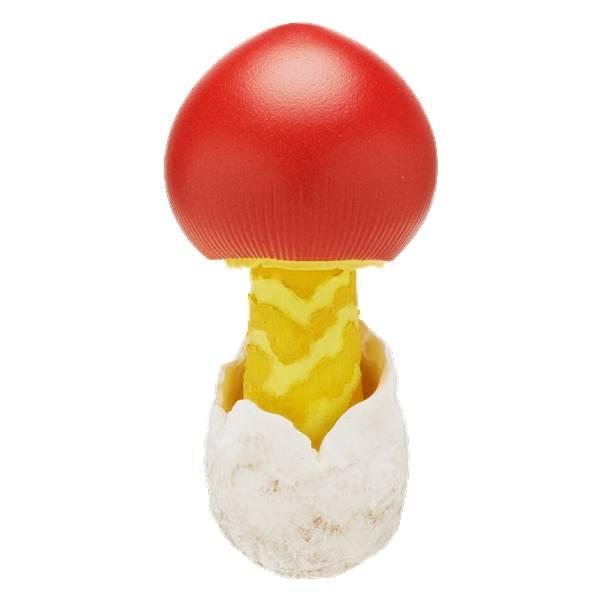 タマゴタケ（幼菌）】 ネイチャーテクニカラーMONO PLUS キノコ