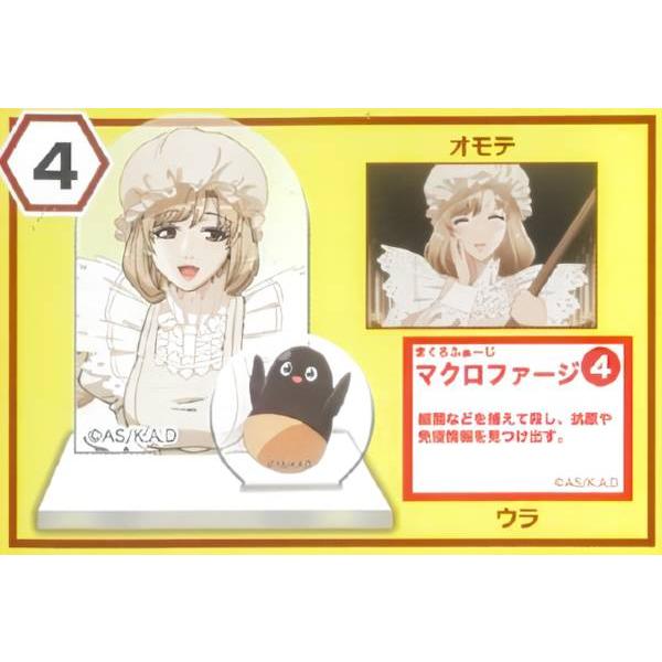 4.マクロファージ】 チョコエッグキッズ はたらく細胞 : トレカ