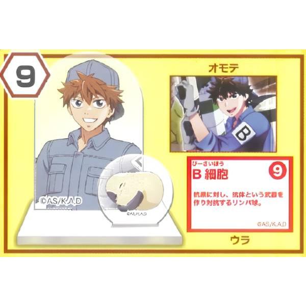 9.B細胞】 チョコエッグキッズ はたらく細胞 : トレカショップ LEAD