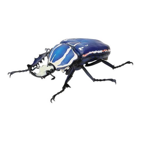 ウガンデンシスオオツノカナブン（ブルー）】 いきもの大図鑑