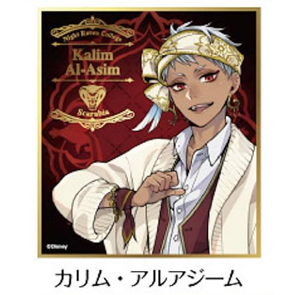 カリム・アルアジーム】 ディズニー ツイステッドワンダーランド